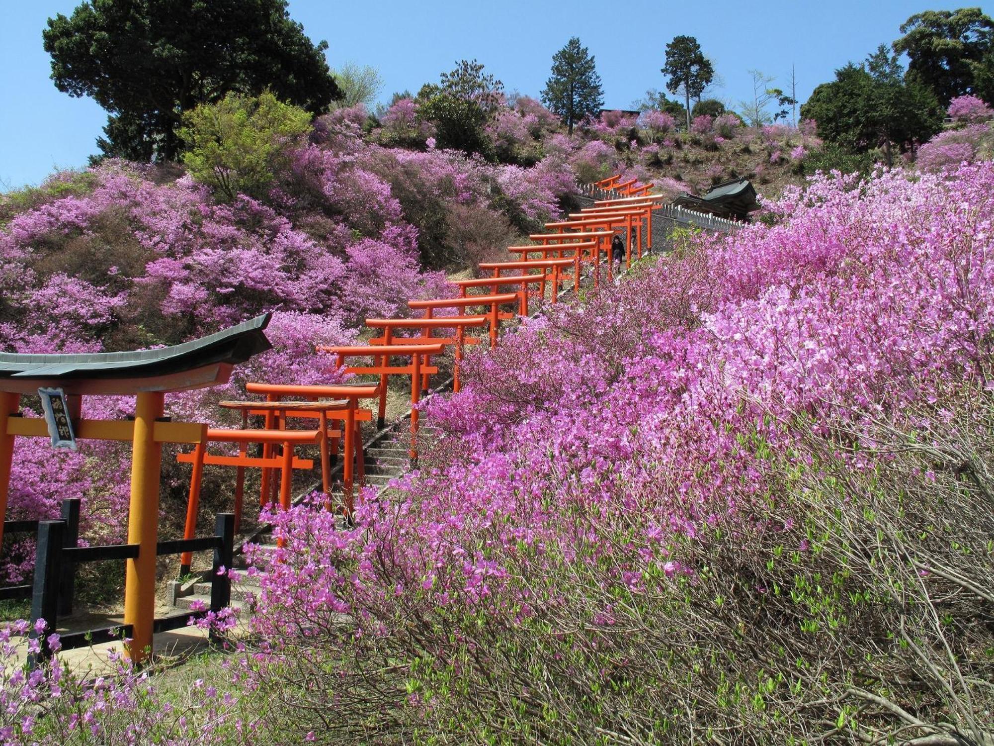 Mercure Kyoto Miyazu Resort & Spa Esterno foto